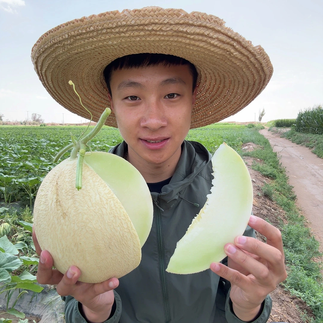 甘肃民勤银蒂白兰瓜（顺丰快递）