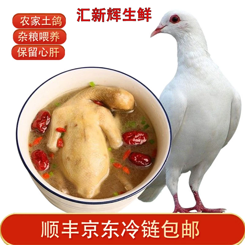 农家散养鸽子杂粮喂养新鲜现杀乳鸽买二送一共三只每只6到7两
