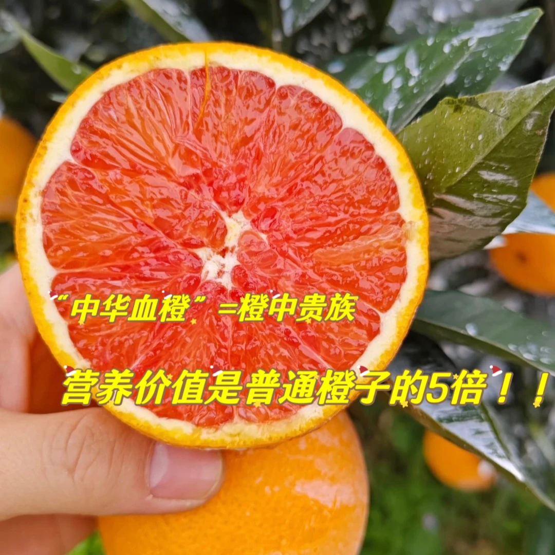 正宗中华血橙5斤装冰糖橙新鲜水果当季水果鲜甜多汁皮薄肉厚细腻