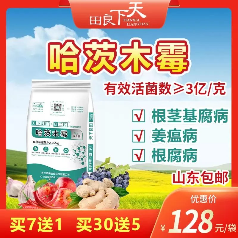 哈茨木霉 5kg/袋  有效活菌数≥3亿/克 预防姜瘟 烂脖子