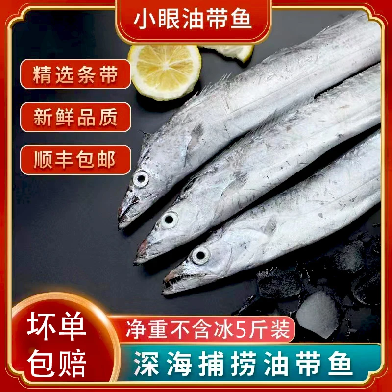 野生东海小眼油带鱼码头当日新鲜海捕肉嫩油脂丰厚整条 1斤2-3条