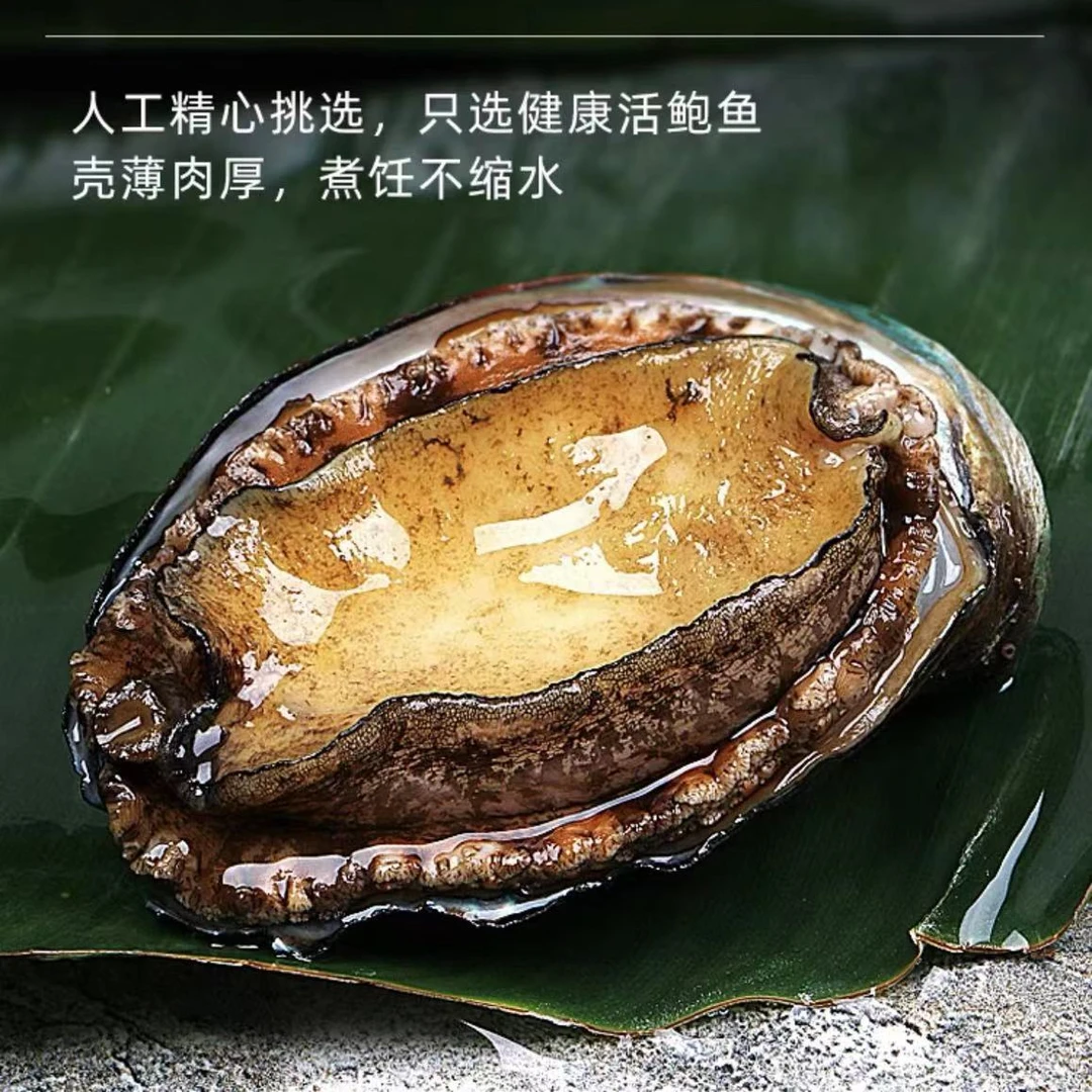 【拍20只送5只】20-22头鲍1只3.5-4.5CM速冻发货 东山岛 鲜美