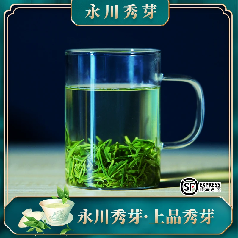 【永川秀芽-上品秀芽】重庆特产2023年明前采摘绿茶地理代表性茗茶