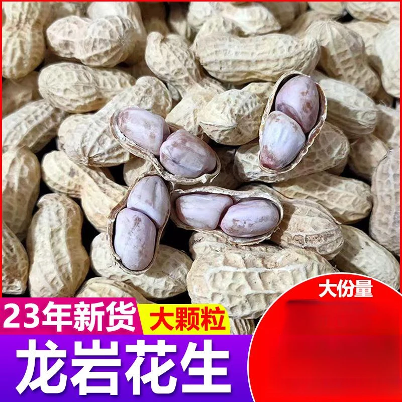 【水煮白晒花生】盐花生咸干蒜香五香咸干花生熟花生带壳多味花生