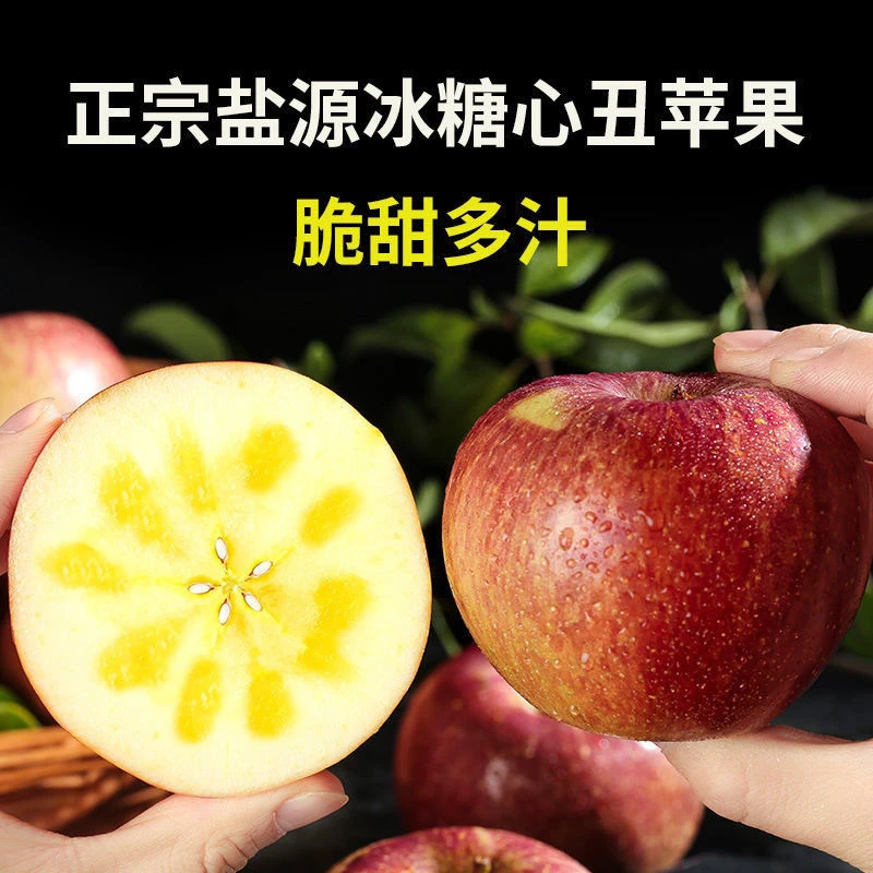 四川大凉山丑苹果冰糖心现摘正宗当季富士新鲜水果不打蜡孕妇宝宝