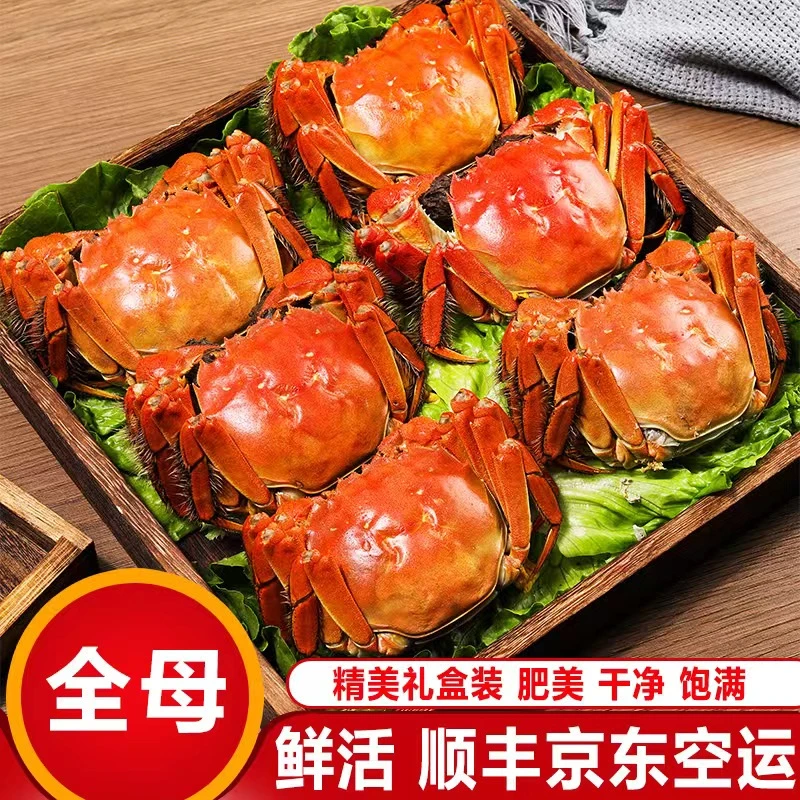 正宗苏蟹【全母2.3-2.0两10只】活蟹现发顺丰京东