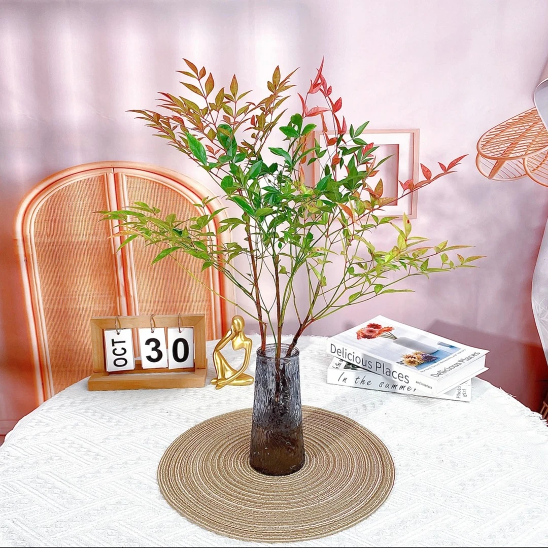 水培植物南天竹盆栽水养室内富贵竹绿植吊钟马醉木好养 花卉 盆景