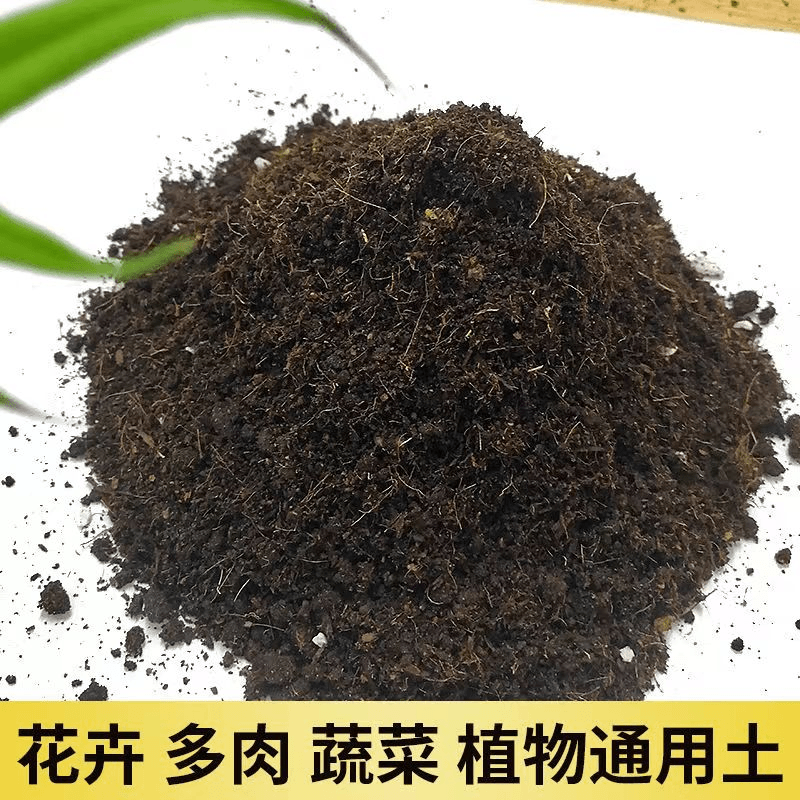 晶彩【腐殖营养土】5斤重月季专用营养土腐殖土