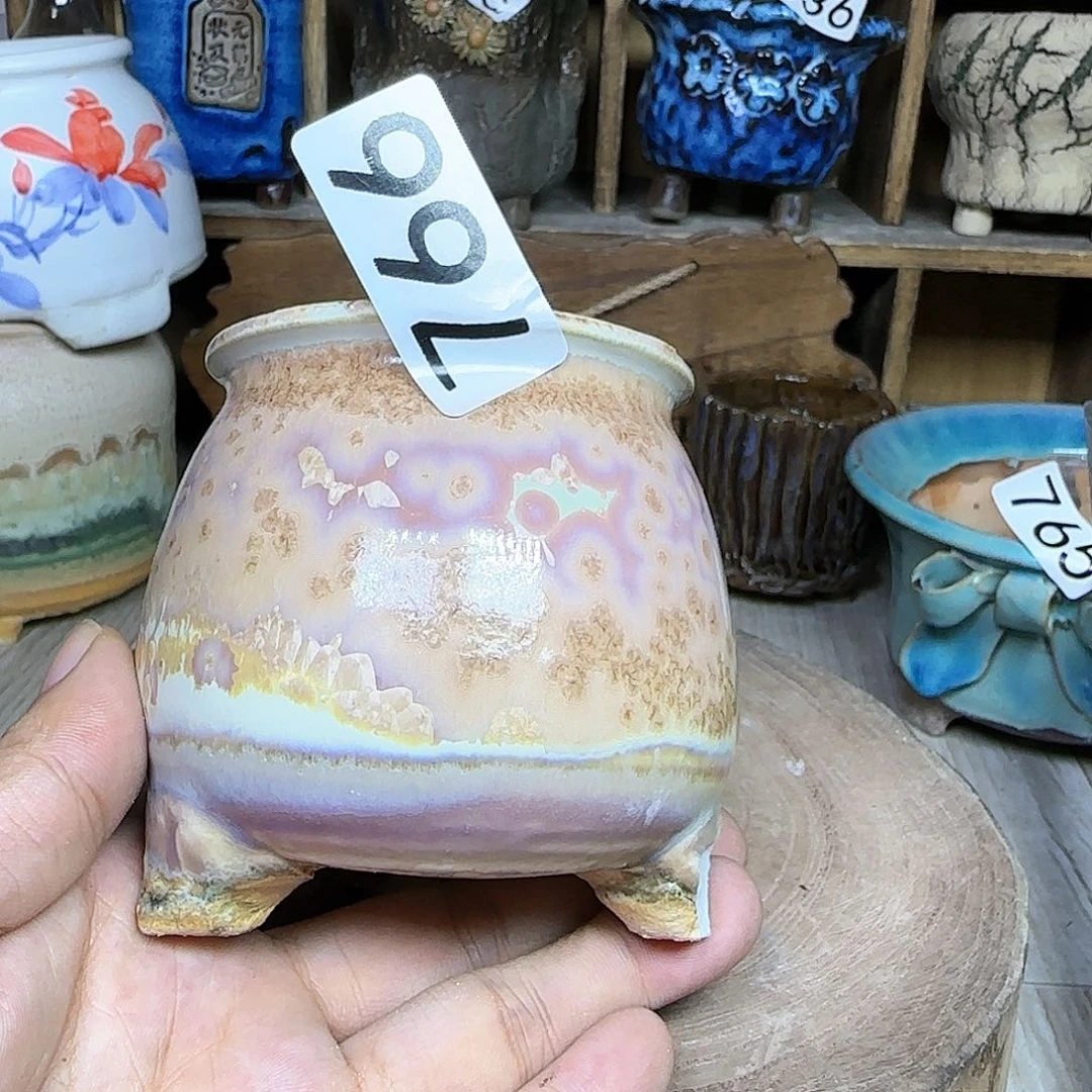 哈哈哈哈哈我真的