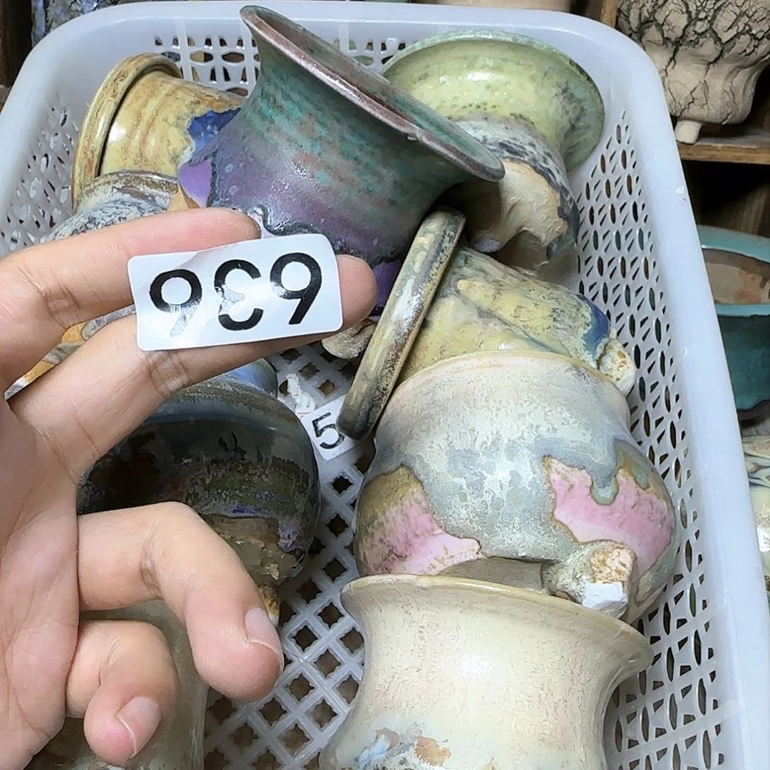 哈哈哈哈哈我真的