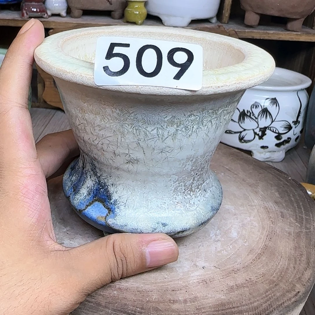 哈哈哈哈哈我真的