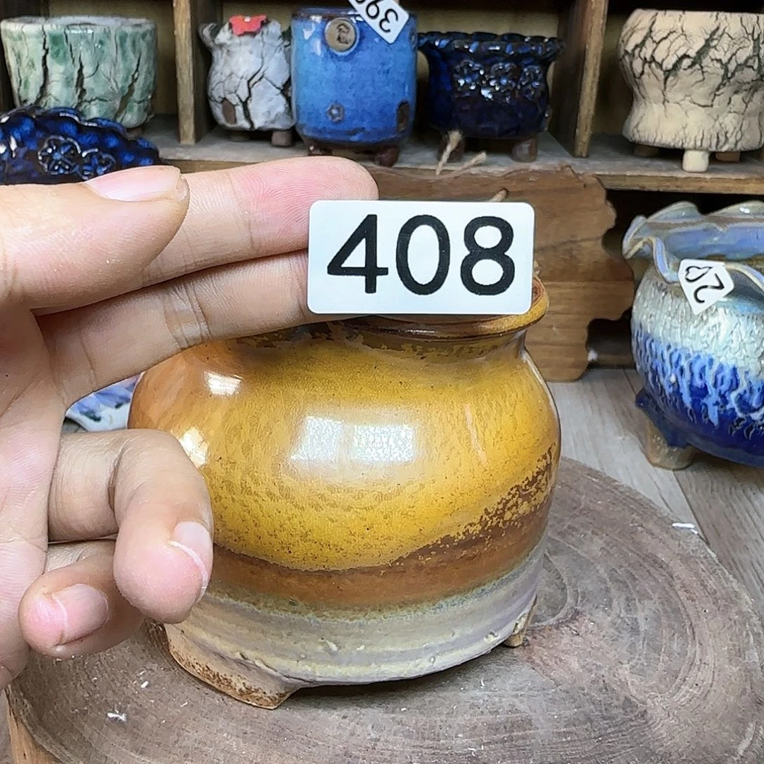 哈哈哈哈哈我真的
