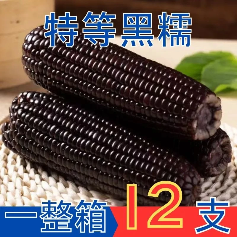 【整箱12支6斤以上】东北黑糯玉米12支*220g-280g
