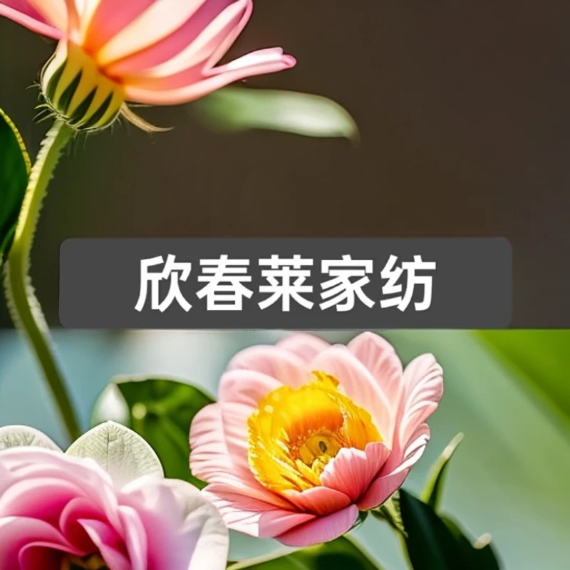 【单被套！单被套！】样品-床上用品听主播讲解看实物下