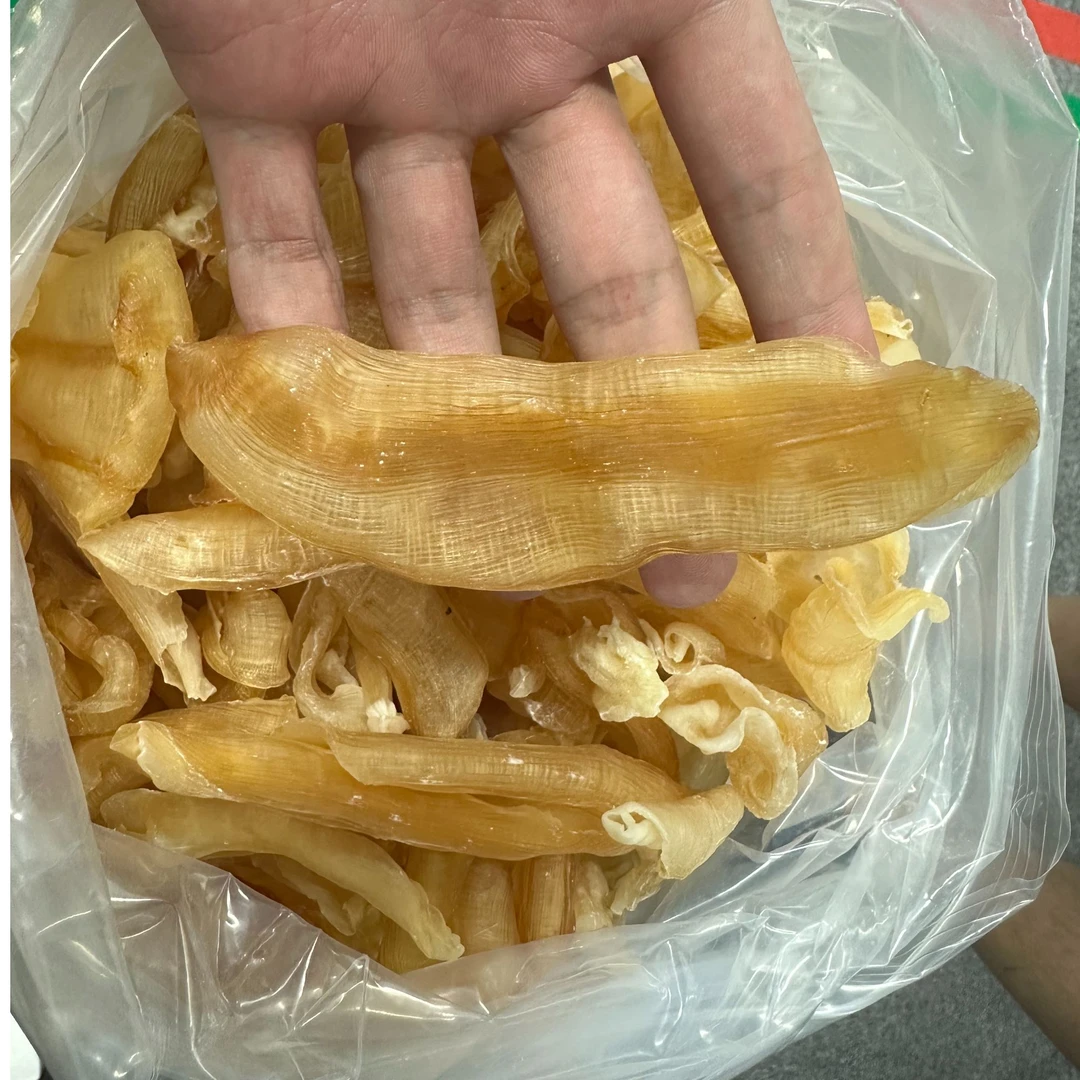 【凤尾胶】大头红鳘鱼胶质丰富鱼肚泡鳔滋补炖汤牛奶甜品
