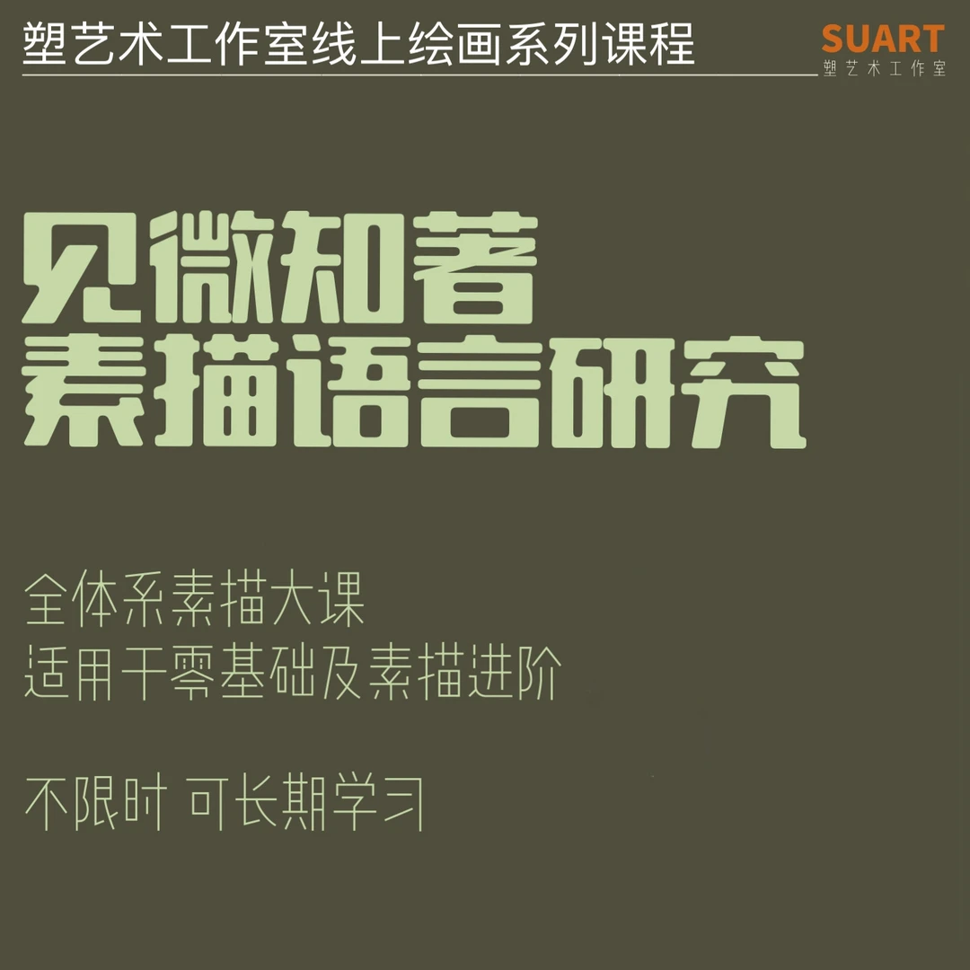 【安卓专属】见微知著·素描语言研究