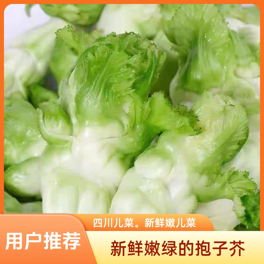 四川新鲜儿菜娃娃菜农家新鲜嫩儿菜泡菜腌菜原料