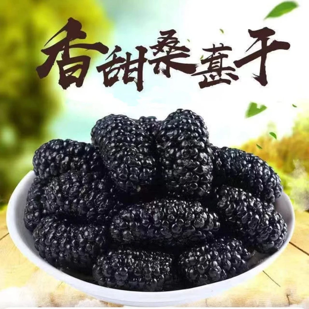 C新货【买半斤送半斤 仅需10.9】桑葚干（共1斤】黑桑葚 无沙泡水即食