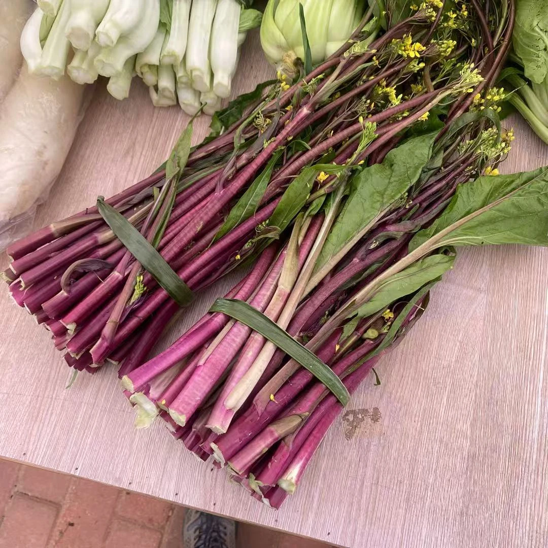 农家自种蔬菜  红菜苔4斤（有虫眼，介意勿拍）