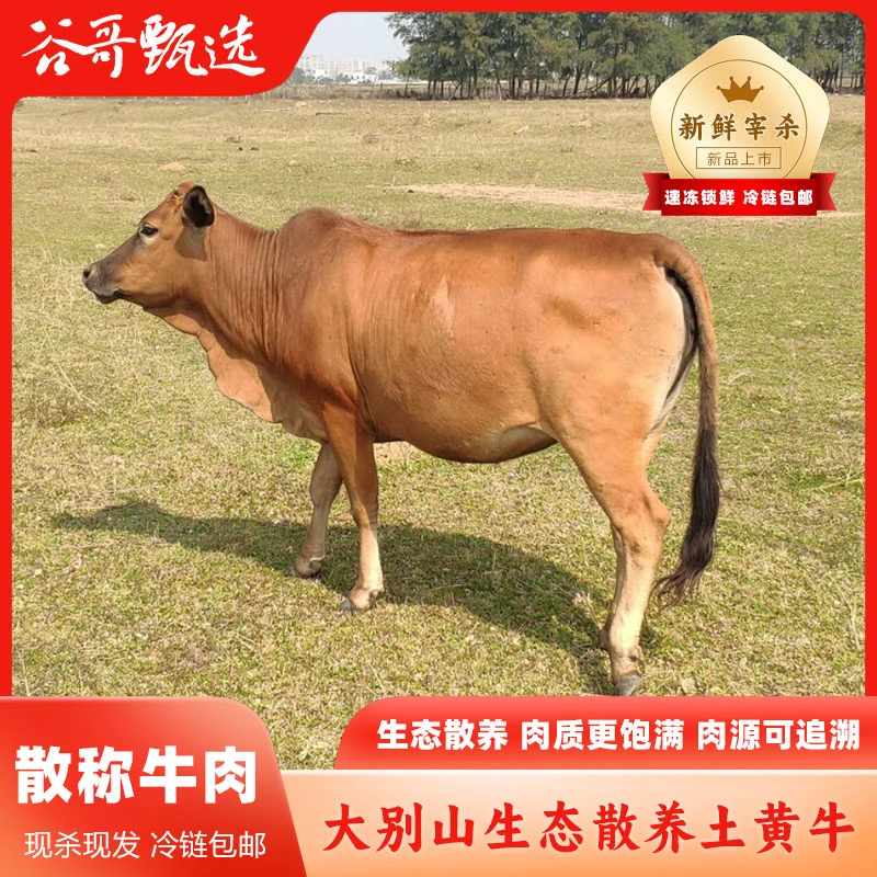 （散称）北纬30度 散养大别山黄牛肉 顺丰或京东包邮500g以上