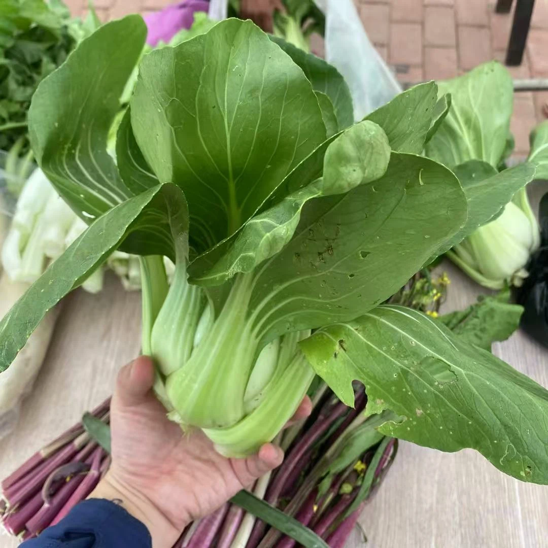 【四月蔓】净重4斤  农家自种蔬菜（有虫眼，介意勿拍）