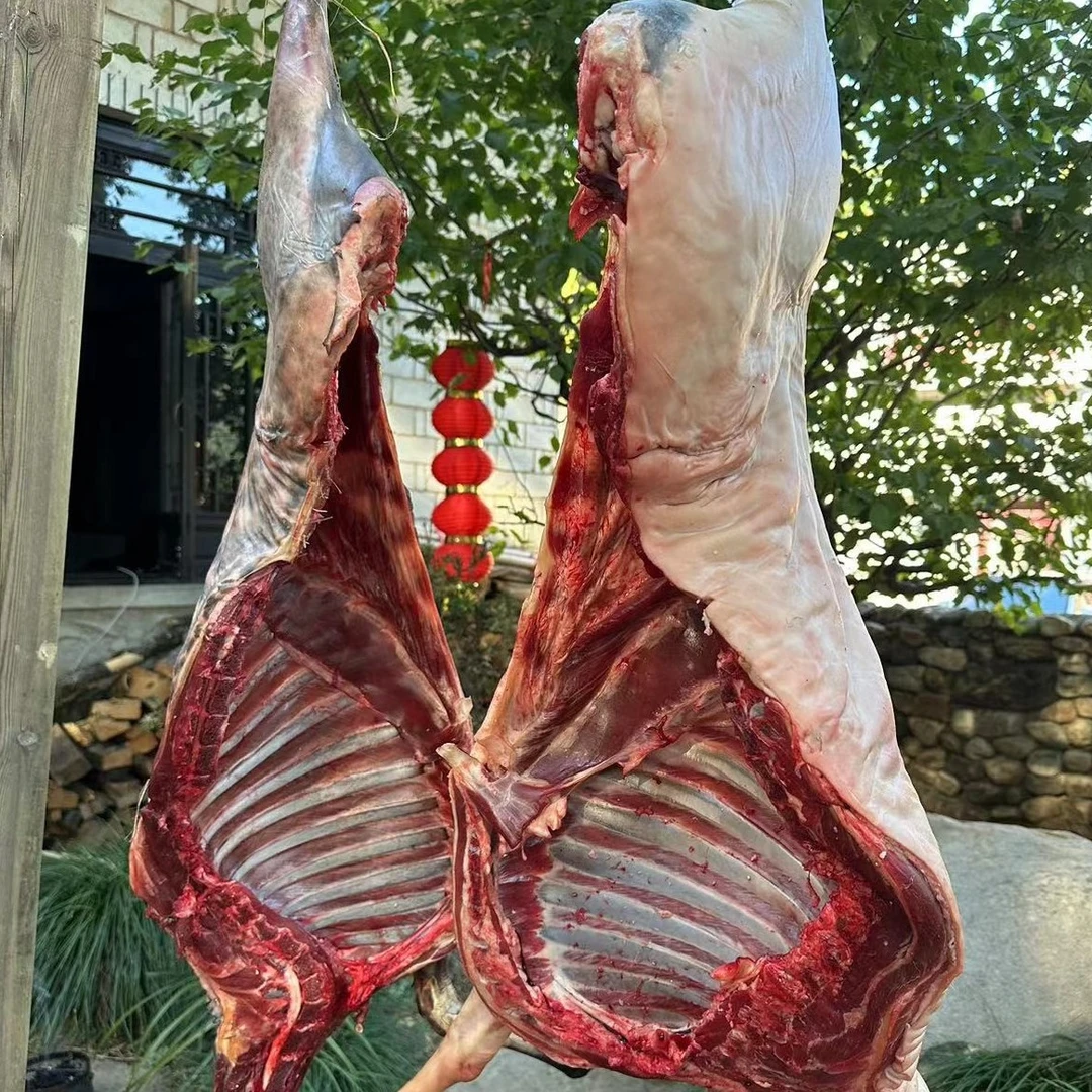 【云养羊】 云养一只大别山黑山羊 净重不低于36斤 包邮