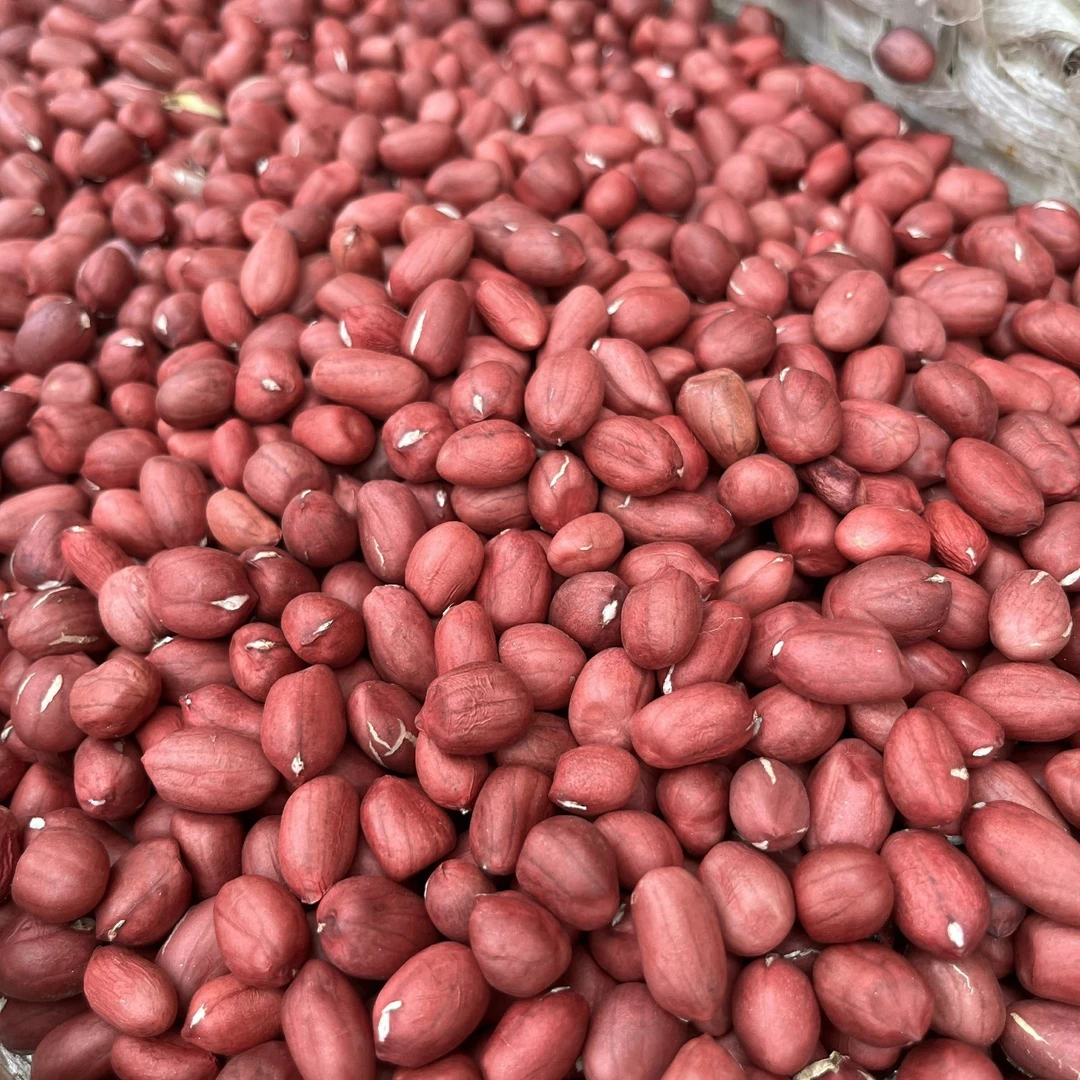 农家种植  花生米 500g  包邮食用农产品
