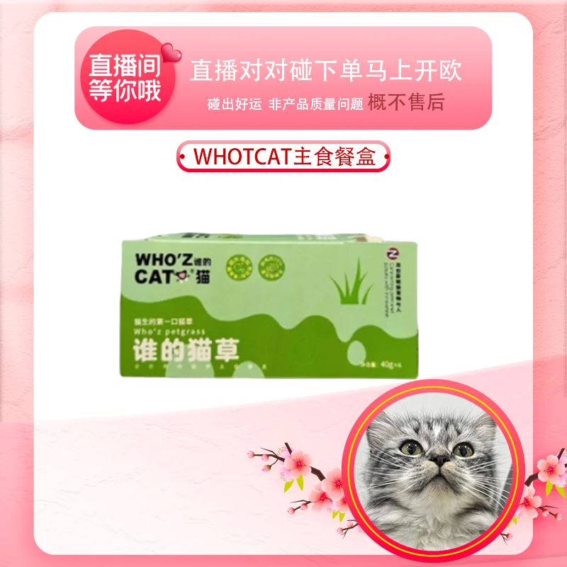 （99保底20）WHOZCAT谁的猫草全价主食餐盒40g小鸟胃对对碰