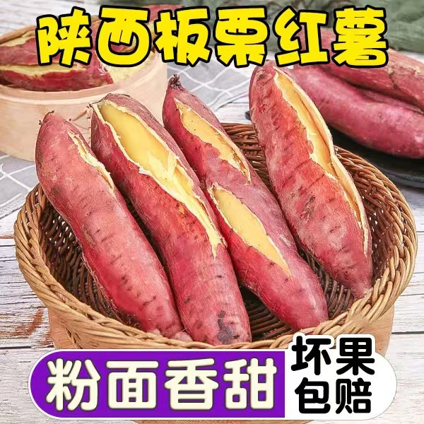 【飘柔哥专享】板栗红薯4.5-5斤干面粉甜陕西沙地现挖现发皮薄