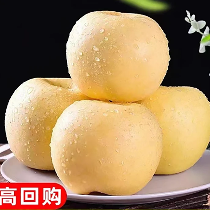 正宗黄金奶油富士苹果正宗烟台冰糖心水果新鲜当季现摘1000g