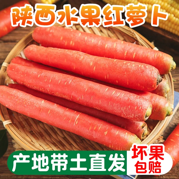 陕西沙地水果红萝卜4斤整箱新鲜蔬菜脆甜可口农家现挖现发萝卜