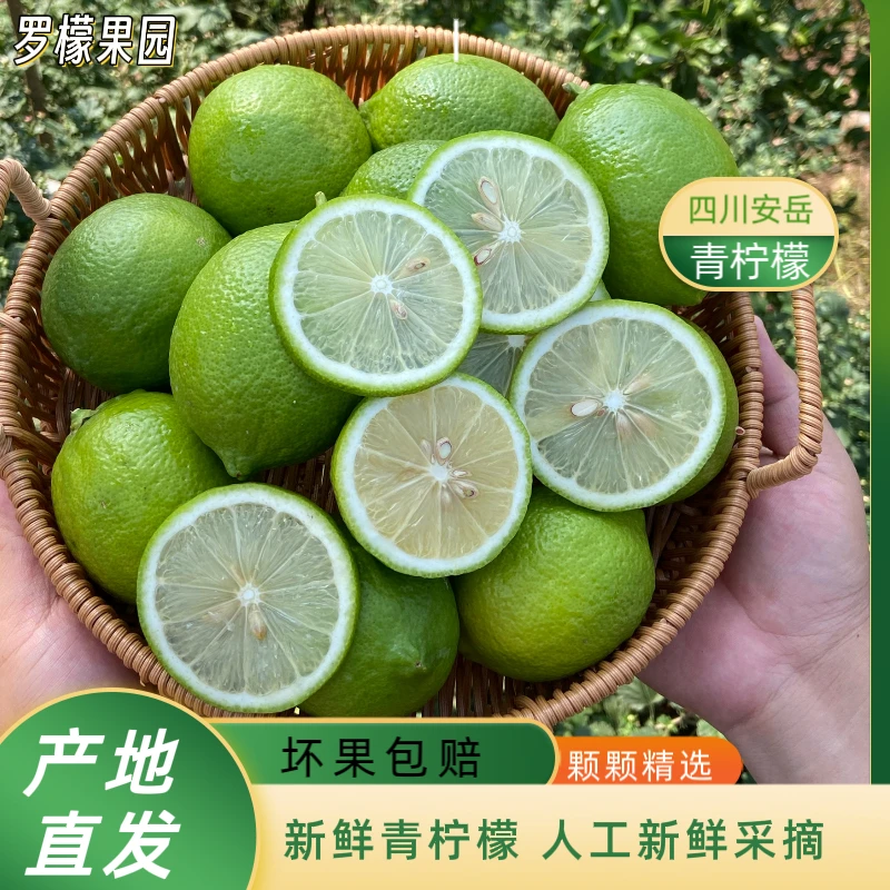 纯野生(果皮有瑕疵)青柠檬 四川安岳 产地直发 果香浓郁 新鲜采摘