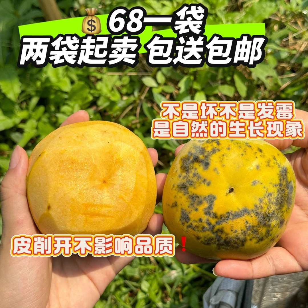 【介意勿拍】太秋脆柿福利款5斤 外表丑果 不影响品质个头内里完好