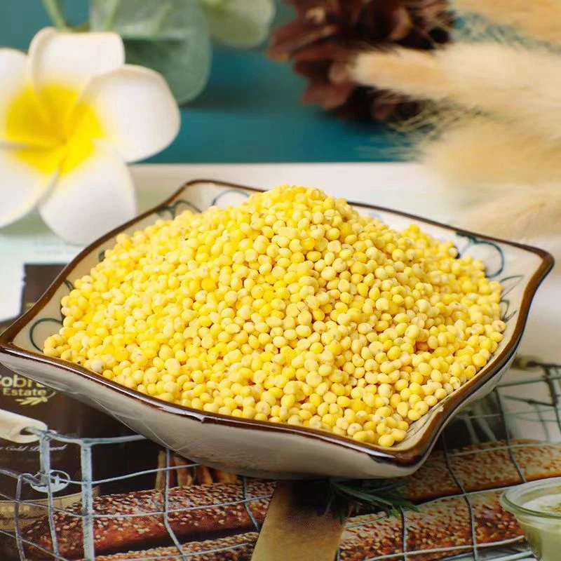 新鲜当季东北大黄米5斤