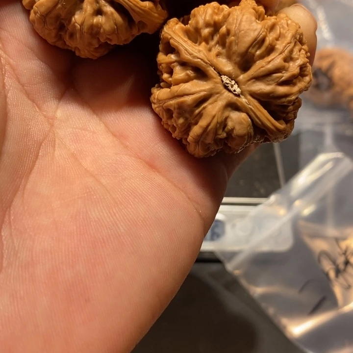 文玩核桃把件二*半粗筋