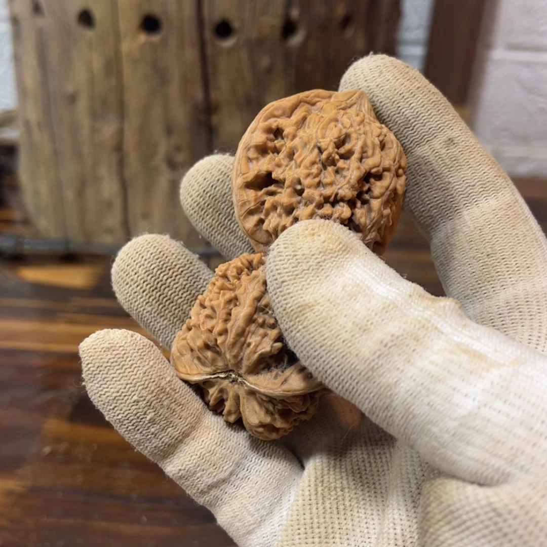 【闪购商品】崖柏一*