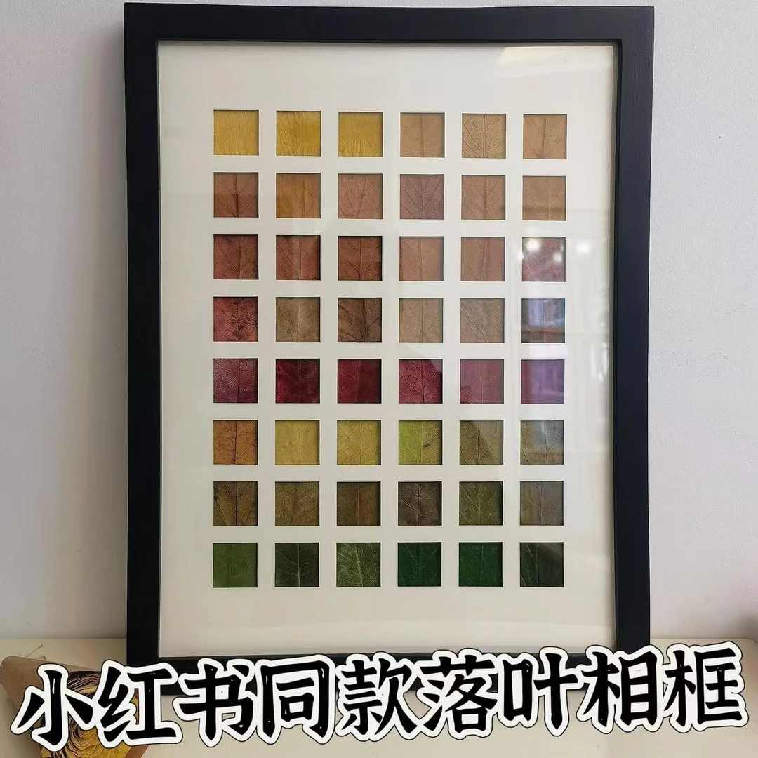 捡秋 DIY落叶相框手工制作48宫格相框银杏植物标本亲子纪念送对象