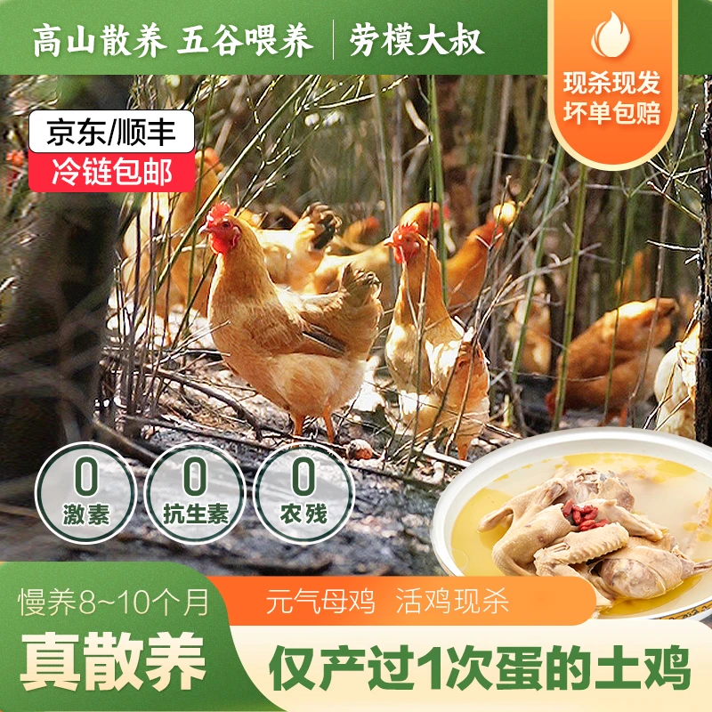 【组合装】【1只元气鸡】+【1只土黄童子鸡】