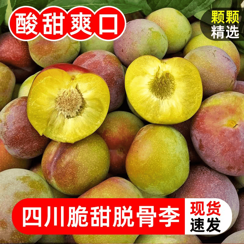 四川正宗半边红茵红李脱骨李脆李子酸甜爽口应季水果带箱5斤装