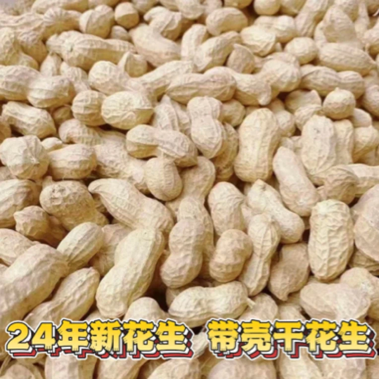 24年新花生 带皮干花生 3斤