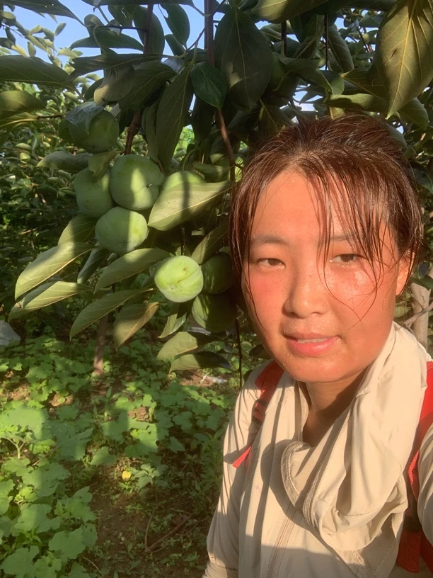 一物一拍 花园种植绿植植物盆栽地栽