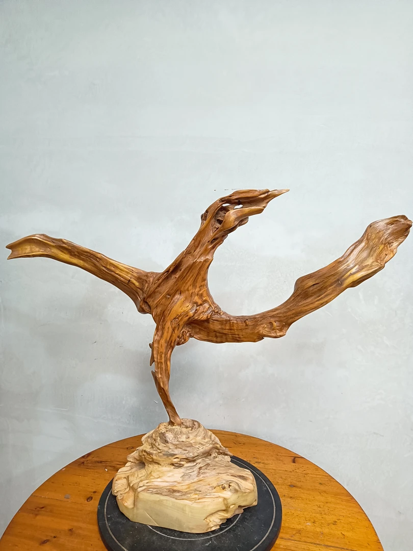 广西大瑶山风化木，没有打磨