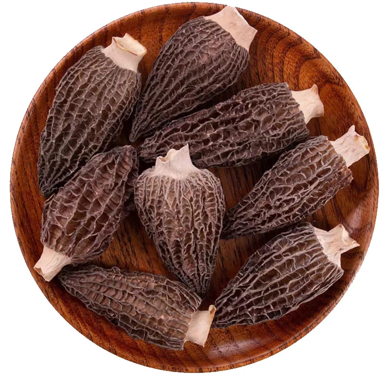 羊肚菌干货牛肚菌云南当季头茬羊肚菌菇剪柄高原羊肚菌丽江山货