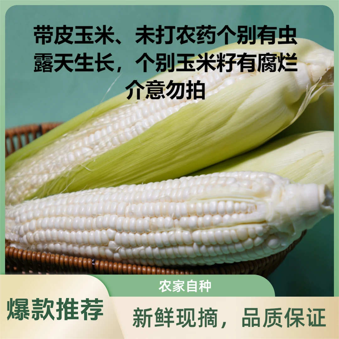 现摘新鲜白糯玉米4-6支装香糯玉米嫩包谷带壳黏玉米应季糯玉米
