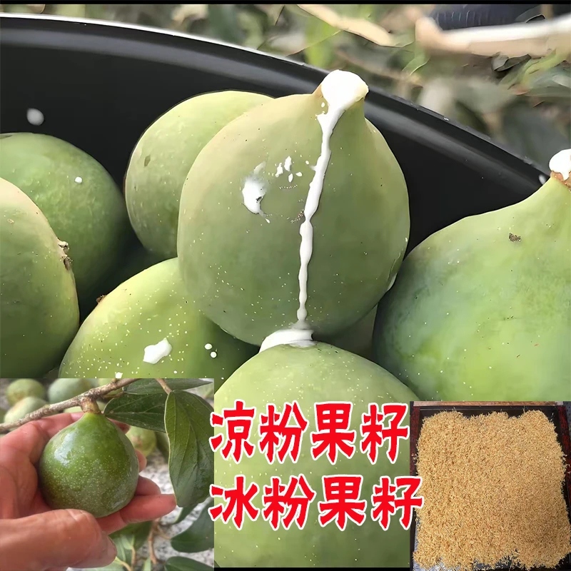 江西手搓冰粉籽凉粉籽爱玉籽薜荔籽冰粉果纯天然自然凝固