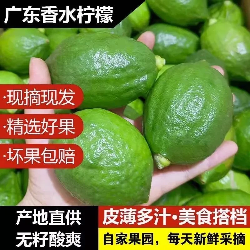 【3斤福利】广东正宗无籽香水柠檬现摘新鲜柠檬产地果园直销3斤多汁