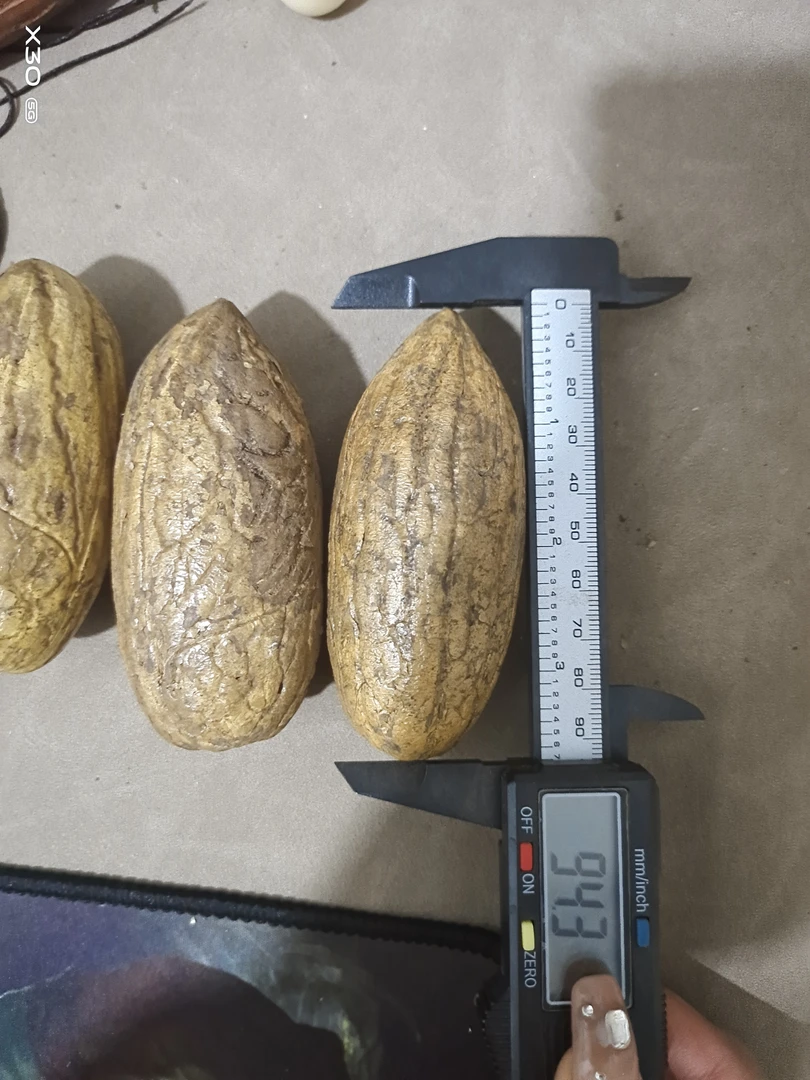 巨无霸 大果王  饰品