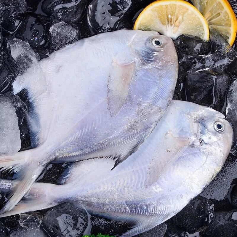 渤海鲜平鱼【小程海鲜】