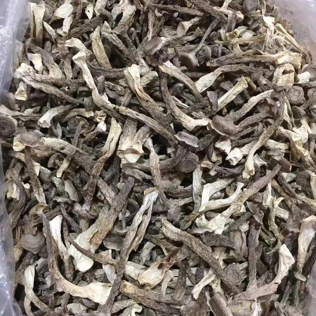 鹿茸菇干货特产脆脆菇爆炒炖汤食材菇