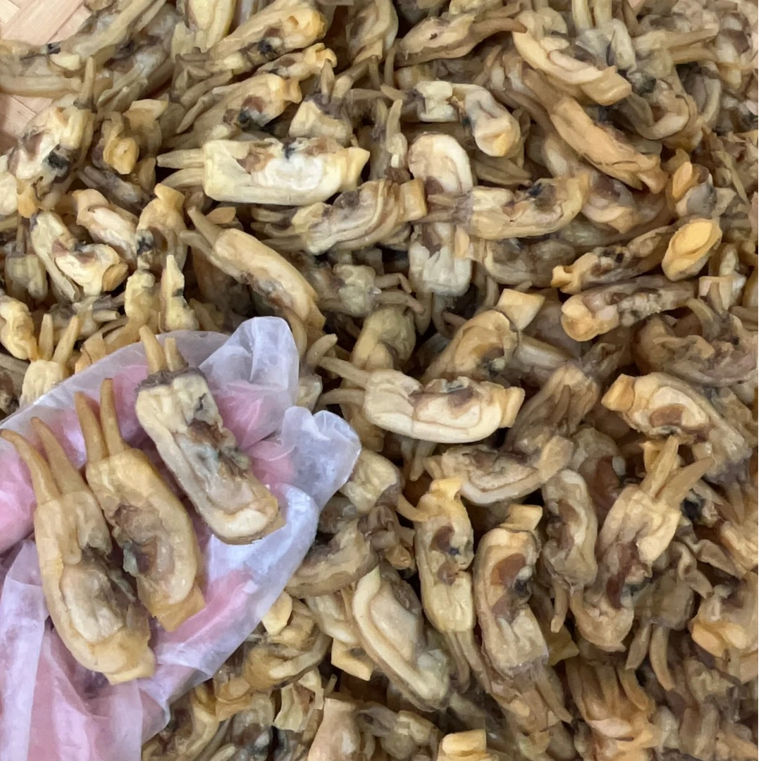 Y新鲜海蛏干日晒干货晾干煲汤炒菜